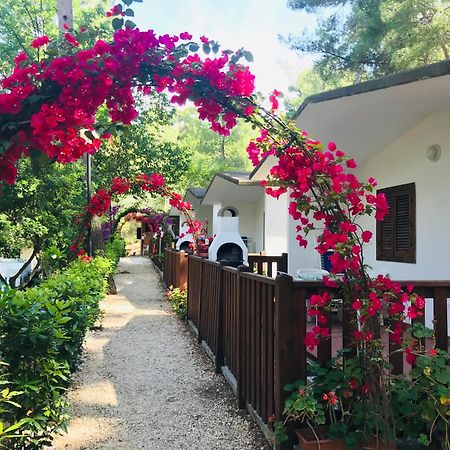 Camping Villaggio Internazionale 산 메나이오 외부 사진