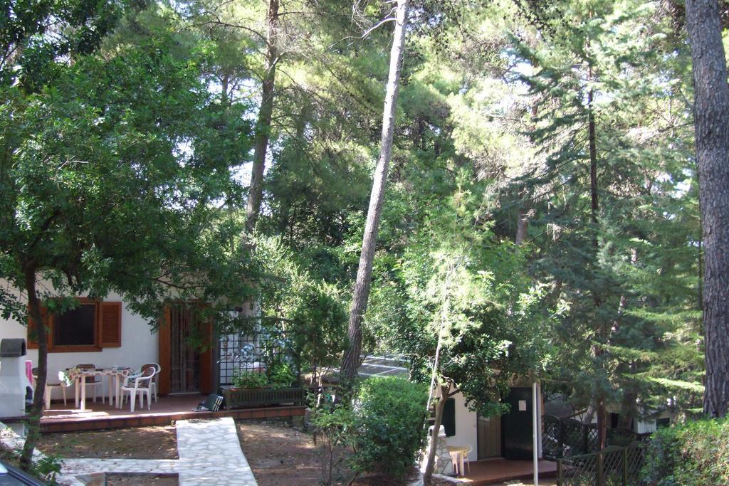 Camping Villaggio Internazionale 산 메나이오 객실 사진