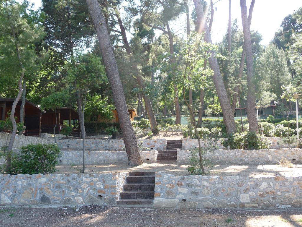 Camping Villaggio Internazionale 산 메나이오 외부 사진