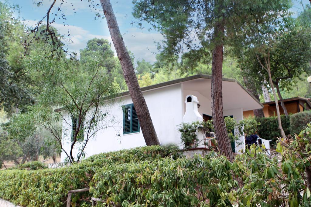 Camping Villaggio Internazionale 산 메나이오 외부 사진
